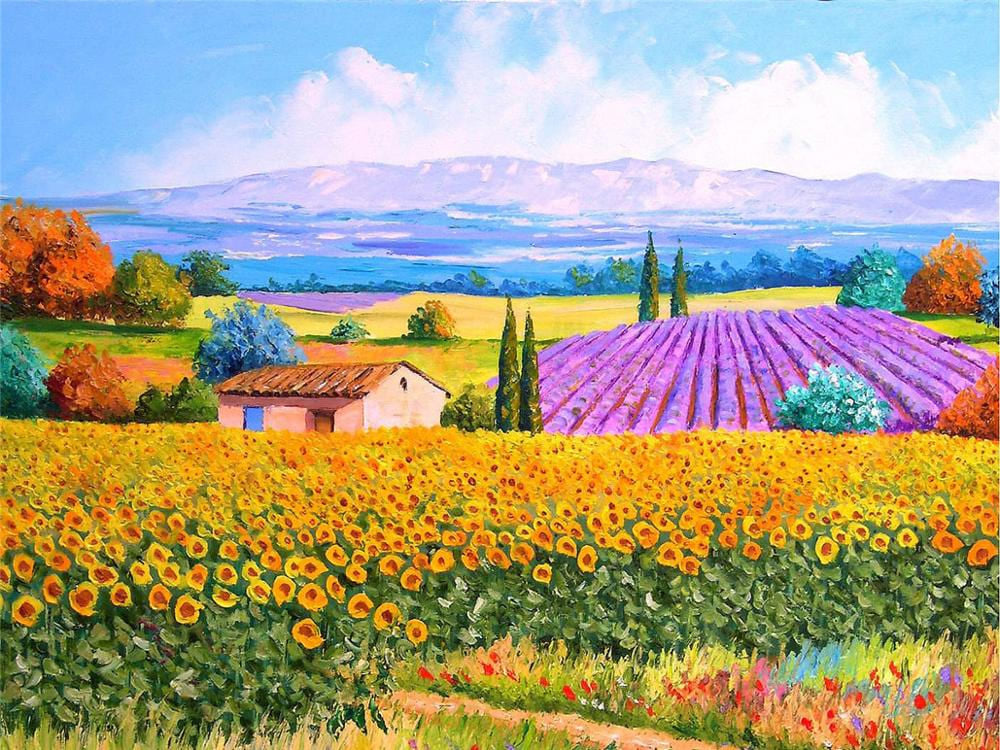 Puzzle 500 pièces paysage