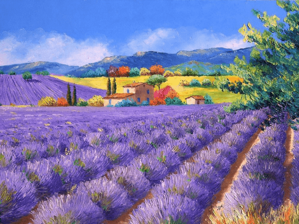 Puzzle 500 pièces paysage