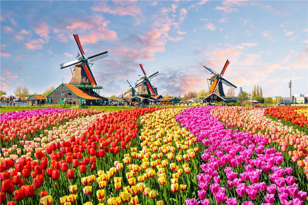 Puzzle 500 pièces paysage