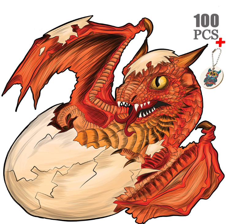Puzzle dragon 100 pieces