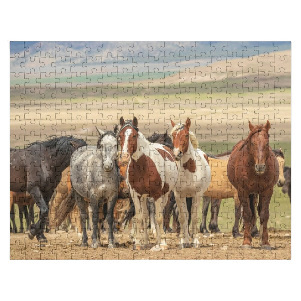 Puzzle 300 pieces chevaux