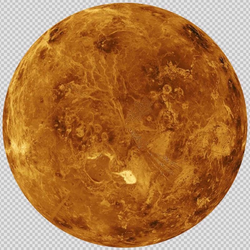 venus puzzle