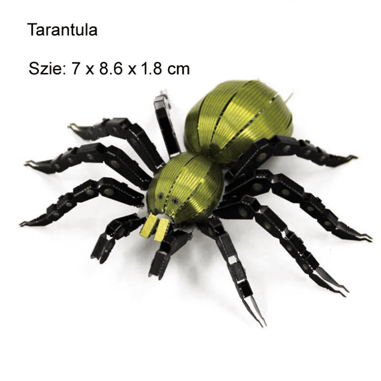 Puzzle araignée