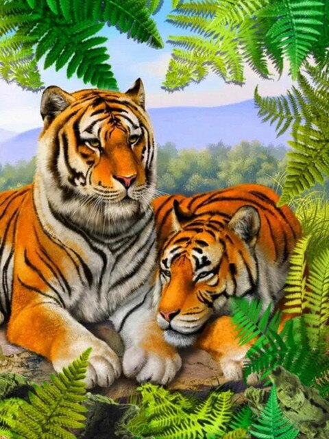 Puzzle tigre 500 pieces