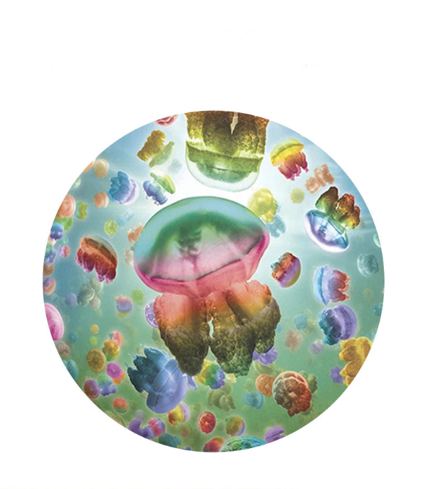 Puzzle fond marin 1000 pièces