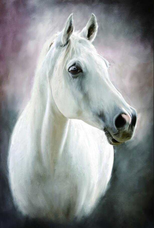 Puzzle cheval blanc