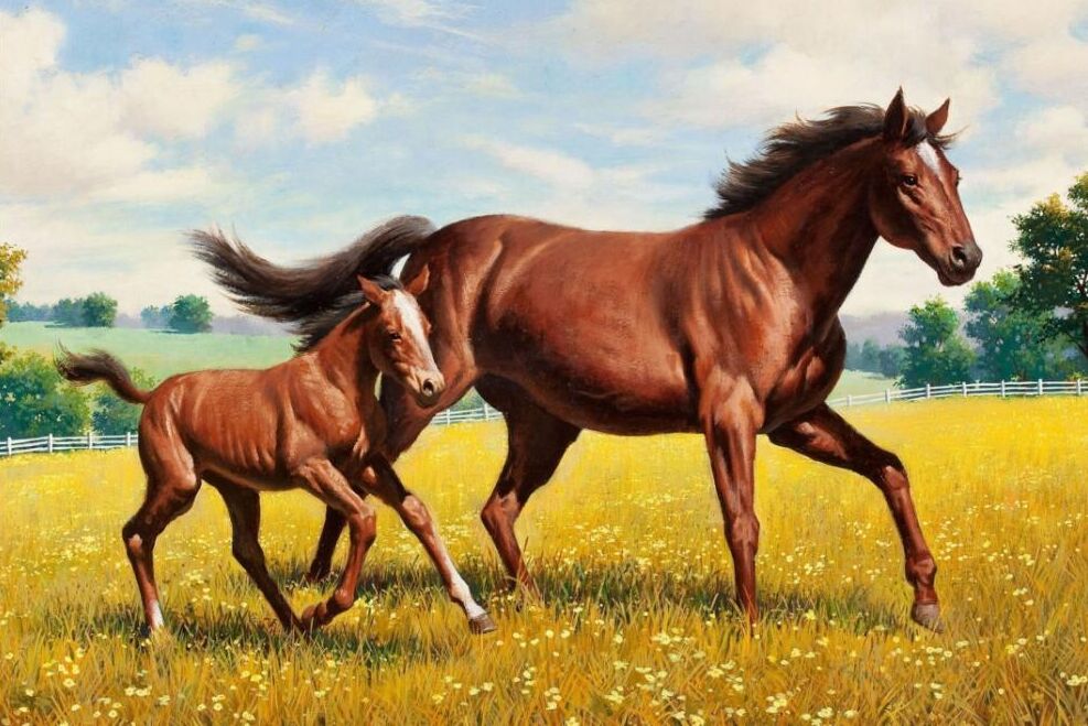 Puzzle poney bebe