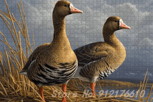 Puzzle 1000 pièces animaux canards