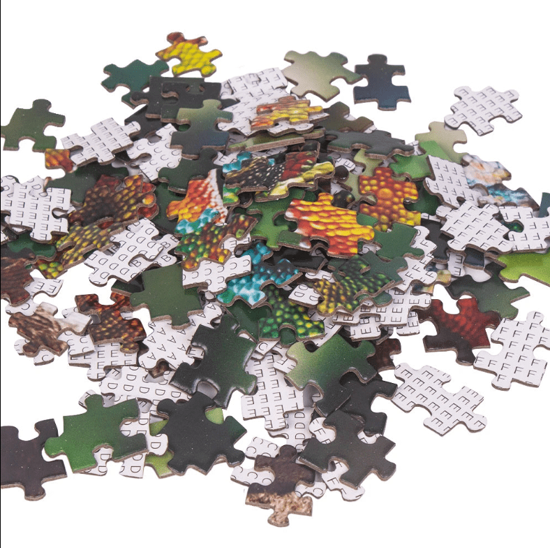 Puzzle cameleon