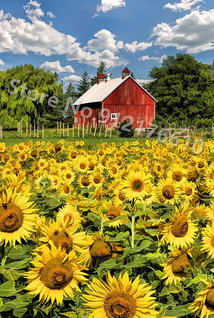 Puzzle 1000 pièces tournesol