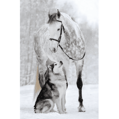 Puzzle 1000 pièces cheval et loup