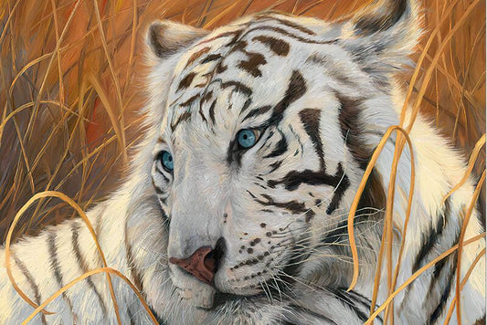 Puzzle 1000 pièces tête de tigre blanc