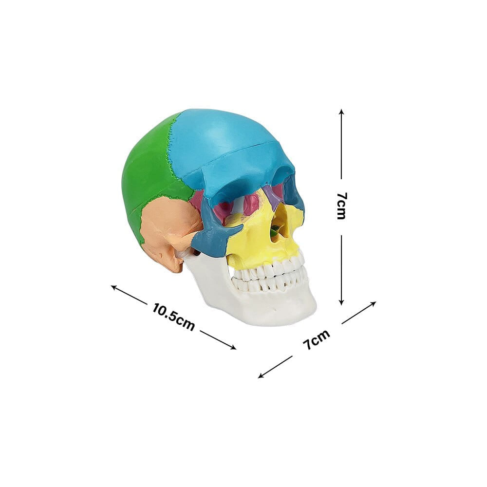 Puzzle 3d tête de mort