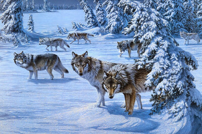 Puzzle loup dans la neige