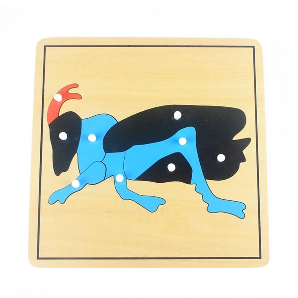 Puzzle insecte maternelle