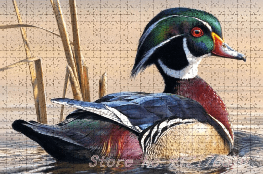 Puzzle Canard de 1000 pièces