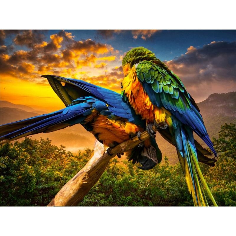 Puzzle oiseaux exotiques perroquet