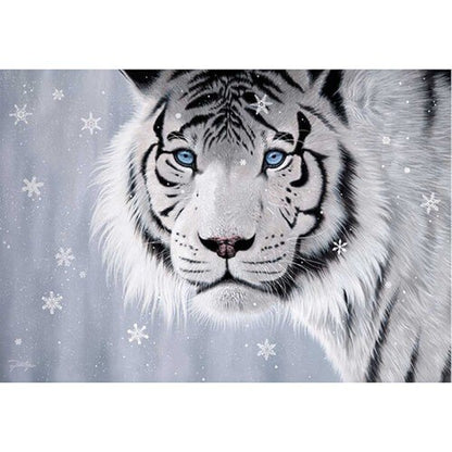 Puzzle tigre blanc 500 pieces