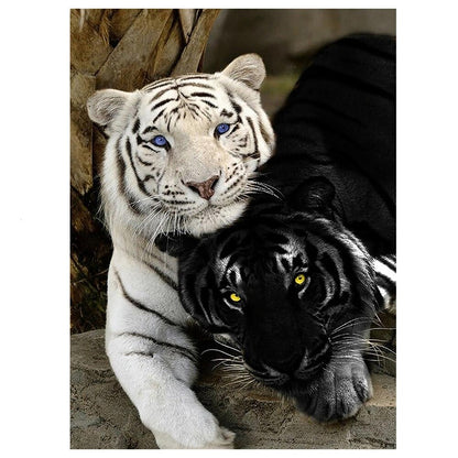 Puzzle tigre noir et blanc