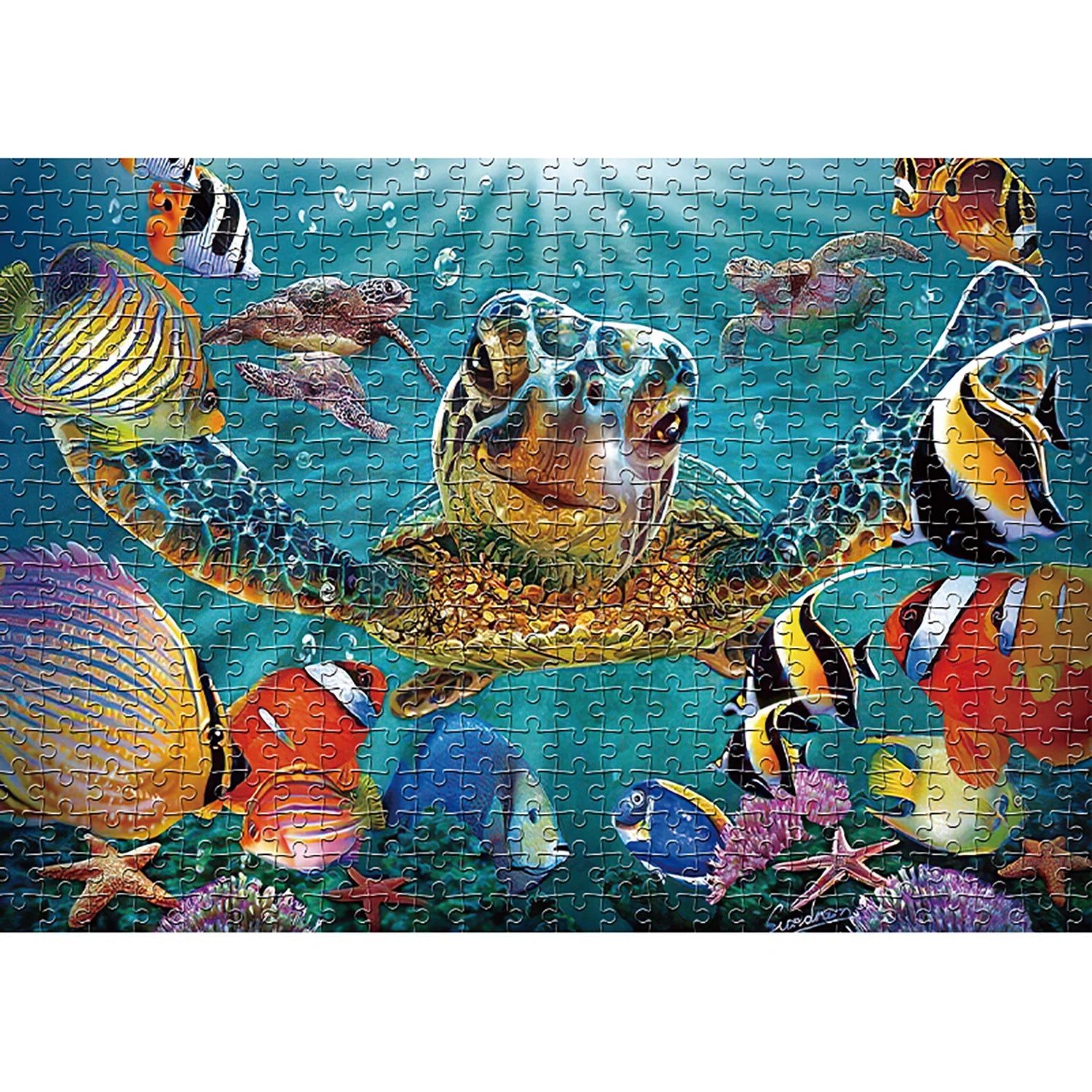 Puzzle 1000 pièces tortue